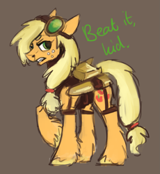 Size: 1161x1260 | Tagged: safe, artist:tracymod, applejack, earth pony, pony, dialogue, goggles, simple background, solo, steampunk, unshorn fetlocks