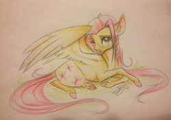 Size: 912x640 | Tagged: safe, artist:probablyfakeblonde, fluttershy, pegasus, pony, colored hooves, lying in grass, one eye closed, realistic horse legs, simple background, solo, traditional art, white background