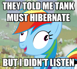 Size: 455x409 | Tagged: safe, derpibooru import, rainbow dash, pegasus, pony, tanks for the memories, derp, exploitable meme, i didn't listen, image macro, meme, rainbow derp, solo