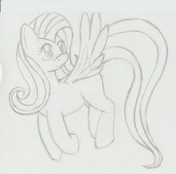 Size: 617x612 | Tagged: safe, artist:neko-kun67, fluttershy, pegasus, pony, sketch, solo, traditional art