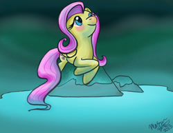 Size: 1024x791 | Tagged: safe, artist:ghostlymuse, fluttershy, pegasus, pony, female, mare, pink mane, solo, yellow coat