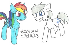 Size: 1042x684 | Tagged: safe, artist:cmara, derpibooru import, double diamond, rainbow dash, pegasus, pony, traditional art