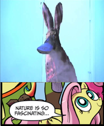 Size: 392x471 | Tagged: safe, fluttershy, pegasus, pony, blue coat, blue eyes, dialogue, exploitable meme, female, looking up, mare, meme, multicolored tail, nature is so fascinating, nostalgia critic, obligatory pony, pink coat, pink mane, platypus bunny, smiling, speech bubble, the last airbender, wings, yellow coat