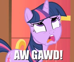 Size: 303x256 | Tagged: safe, derpibooru import, twilight sparkle, image macro, meme, omg, solo