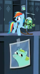 Size: 796x1440 | Tagged: safe, derpibooru import, screencap, rainbow dash, tank, whoa nelly, pegasus, pony, tanks for the memories, fsjal, hilarious in hindsight, hoers, incidental pony, locker, photo