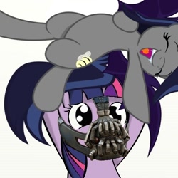 Size: 500x500 | Tagged: safe, derpibooru import, twilight sparkle, oc, oc:echo, bat pony, pony, /mlp/, bane, bane mask, the dark knight rises, this will end in tears