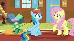 Size: 1920x1080 | Tagged: safe, derpibooru import, screencap, fluttershy, rainbow dash, tank, pegasus, pony, tanks for the memories, scrunchy face