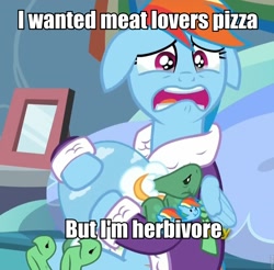 Size: 960x946 | Tagged: safe, derpibooru import, screencap, rainbow dash, tank, pegasus, pony, tanks for the memories, clothes, dashie slippers, depression dash, exploitable meme, first world problems, image macro, meme, tank slippers