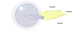 Size: 307x163 | Tagged: safe, artist:mega-poneo, derpy hooves, pony, ball, bubble, crossover, motion lines, rolling, shield, simple background, solo, sonic the hedgehog (series), spin dash, spread wings, transparent background, wings