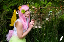 Size: 683x455 | Tagged: safe, fluttershy, human, cosplay, irl, irl human, photo