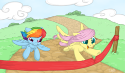 Size: 1653x975 | Tagged: safe, artist:bananasplitzel, derpibooru import, fluttershy, rainbow dash, pegasus, pony, drawing, finish line, race