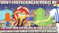 Size: 640x363 | Tagged: safe, screencap, carrot top, flam, golden harvest, golden hazel, sandalwood, sci-twi, sunset shimmer, twilight sparkle, better together, equestria girls, rollercoaster of friendship, angry, animated, carnival, disheveled, geode of empathy, image macro, it's not about the parakeet, meme, messy hair, parakeet, plushie, vulgar