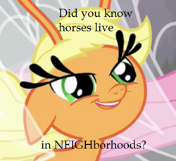 Size: 456x418 | Tagged: safe, applejack, breezie, it ain't easy being breezies, applebreezie, breeziefied, carlos, carlosjack, image macro, joke, meme, pun, solo, species swap