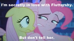 Size: 637x357 | Tagged: safe, fluttershy, pinkie pie, equestria girls, rainbow rocks, image macro, meme, text