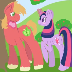 Size: 894x894 | Tagged: safe, artist:robynne, derpibooru import, big macintosh, twilight sparkle, shipping, straight, twimac