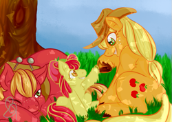 Size: 607x430 | Tagged: safe, artist:cherrypumkin, apple bloom, applejack, big macintosh, earth pony, pony, male, stallion, unshorn fetlocks