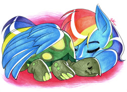 Size: 1024x747 | Tagged: safe, artist:linaprime, derpibooru import, rainbow dash, tank, pegasus, pony, tanks for the memories, sleeping