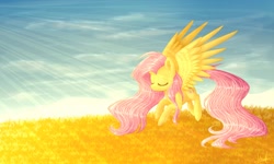 Size: 2500x1500 | Tagged: safe, artist:aurora, fluttershy, pegasus, pony, female, mare, pink mane, solo, yellow coat