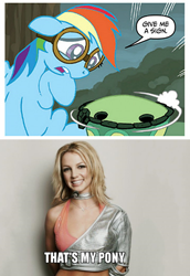 Size: 392x570 | Tagged: safe, derpibooru import, idw, rainbow dash, tank, pegasus, pony, idw micro series, ...baby one more time, britney spears, comic, joke, meme, song reference, that's my pony, that's my x