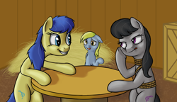 Size: 4000x2300 | Tagged: safe, artist:stink111, derpy hooves, fiddlesticks, octavia melody, earth pony, pony, apple family member, backwards cutie mark, barn, floppy ears, hay, high res, missing accessory, rope, table