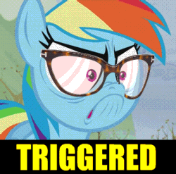 Size: 324x320 | Tagged: safe, derpibooru import, edit, edited screencap, screencap, rainbow dash, pegasus, pony, tanks for the memories, angry, animated, do i look angry, duckery in the comments, frown, glare, glasses, hipster glasses, image macro, melody hensley, meme, pouting, rage, solo, triggered, tumblr, wide eyes