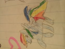 Size: 1280x960 | Tagged: safe, artist:mad moshing metal maniac, derpibooru import, rainbow dash, pegasus, pony, lined paper, solo, traditional art