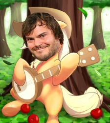 Size: 500x556 | Tagged: safe, applejack, earth pony, pony, banjo, celebrity, jack black, musical instrument, photoshop, pun, solo