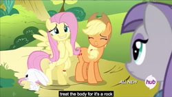 Size: 1276x719 | Tagged: safe, screencap, angel bunny, applejack, fluttershy, maud pie, earth pony, pegasus, pony, maud pie (episode), hub logo, meme, youtube caption