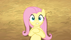 Size: 1280x720 | Tagged: safe, screencap, fluttershy, pegasus, pony, the last roundup, out of context, solo, wide eyes