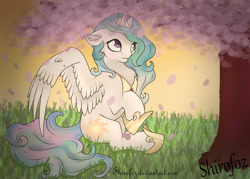 Size: 3500x2500 | Tagged: safe, artist:shirofoz, princess celestia, alicorn, pony, cherry blossoms, ear fluff, floppy ears, sitting, solo, spread wings