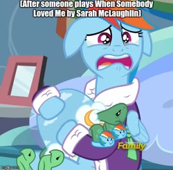Size: 490x482 | Tagged: safe, derpibooru import, rainbow dash, tank, pegasus, pony, tanks for the memories, clothes, dashie slippers, depression dash, image macro, meme, sad, sarah mclaughlin, tank slippers, toy story, toy story 2, when she loved me