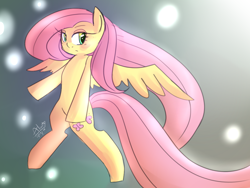 Size: 1024x768 | Tagged: safe, artist:towa-towathepony, fluttershy, pegasus, pony, female, mare, pink mane, solo, yellow coat