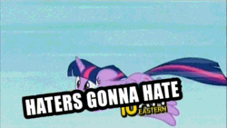 Size: 640x360 | Tagged: safe, derpibooru import, twilight sparkle, twilight sparkle (alicorn), alicorn, pony, season 4, adorkable, animated, cute, dork, drama, female, flying, haters gonna hate, image macro, mare, solo