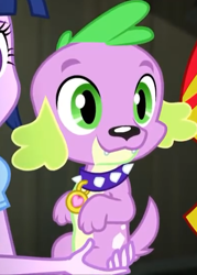 Size: 394x549 | Tagged: safe, screencap, spike, sunset shimmer, twilight sparkle, twilight sparkle (alicorn), alicorn, dog, equestria girls, rainbow rocks, cropped, male, offscreen character, paws, smiling, spike the dog, spike's dog collar