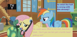 Size: 567x277 | Tagged: safe, derpibooru import, edit, edited screencap, screencap, fluttershy, rainbow dash, tank, pegasus, pony, tanks for the memories, caption, doctor fluttershy, listening, pun, screencap comic, stethoscope