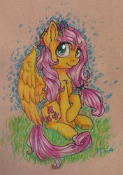 Size: 675x957 | Tagged: safe, artist:theorderofalisikus, fluttershy, pegasus, pony, chest fluff, flower, flower in hair, fluffy, sitting, solo, traditional art