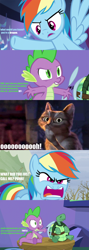 Size: 800x2250 | Tagged: safe, derpibooru import, screencap, rainbow dash, spike, tank, cat, dragon, pegasus, pony, tortoise, tanks for the memories, angry, comic, curse cut short, cussing, fight, funny, puss-in-boots