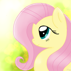 Size: 512x512 | Tagged: safe, artist:teacharms, fluttershy, pegasus, pony, bust, portrait, solo