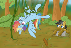 Size: 4424x3010 | Tagged: safe, artist:pzkratzer, derpibooru import, quibble pants, rainbow dash, pegasus, pony, belly button, bondage, colored sketch, crash, dirty, everfree forest, fail, female, jungle, male, mud, not quicksand, quibbledash, shipping, sketch, straight, swamp, tangled up, vine