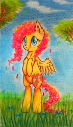 Size: 1988x3479 | Tagged: safe, artist:0okami-0ni, fluttershy, pegasus, pony, bipedal, ear fluff, flower in hair, solo, traditional art
