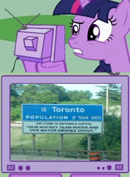 Size: 563x769 | Tagged: safe, derpibooru import, twilight sparkle, canada, exploitable meme, meme, obligatory pony, rob ford, sign, toronto, toronto maple leafs, tv meme