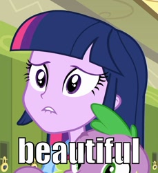 Size: 636x693 | Tagged: safe, derpibooru import, twilight sparkle, equestria girls, image macro, lip bite, reaction image