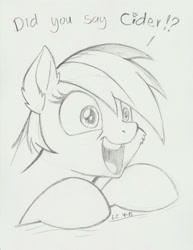 Size: 1275x1650 | Tagged: safe, artist:latecustomer, derpibooru import, rainbow dash, pegasus, pony, cider, cider dash, excited, monochrome, sketch, solo, traditional art