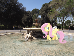 Size: 4288x3216 | Tagged: safe, artist:mewtwo-ex, artist:missbeigepony, angel bunny, fluttershy, human, pegasus, pony, rabbit, female, flying, fountain, irl, irl human, mare, photo, ponies in real life, shadow, tree, vector, water