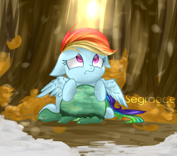 Size: 1452x1281 | Tagged: safe, artist:segraece, derpibooru import, rainbow dash, tank, pegasus, pony, tanks for the memories, animal, fanart, floppy ears, looking away, looking up, sad