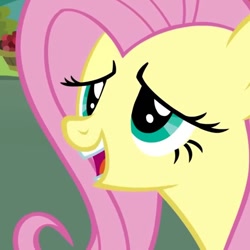 Size: 570x569 | Tagged: safe, screencap, fluttershy, pegasus, pony, putting your hoof down, female, mare, pink mane, yellow coat