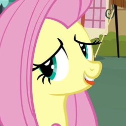 Size: 617x616 | Tagged: safe, screencap, fluttershy, pegasus, pony, putting your hoof down, female, mare, pink mane, yellow coat