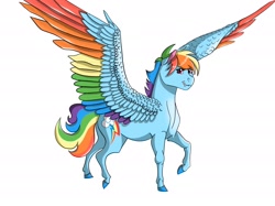 Size: 2732x2048 | Tagged: safe, artist:emmalorelai, derpibooru import, rainbow dash, pegasus, pony, alternate universe, colored wings, multicolored wings, simple background, solo, spread wings, white background, wings