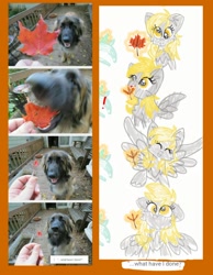 Size: 1072x1385 | Tagged: safe, artist:m0nster-c00kie, derpy hooves, dog, pegasus, pony, comic, food, leaf, ponified animal photo