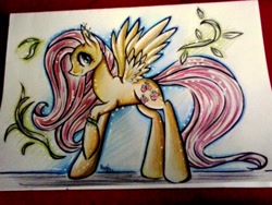 Size: 2048x1536 | Tagged: safe, artist:julunis14, fluttershy, pegasus, pony, female, mare, solo, traditional art